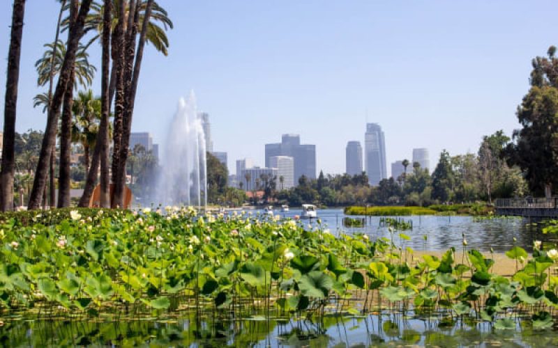 Culture in Los Angeles