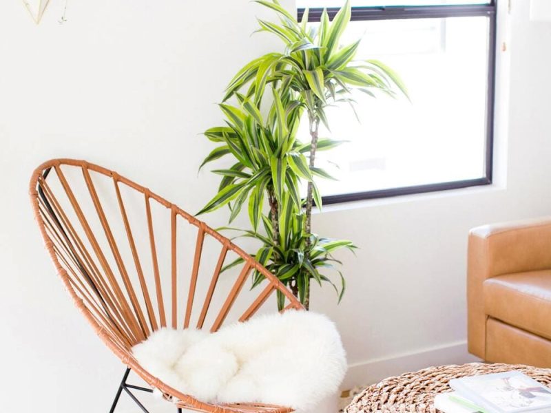 Node Living Los Angeles - Furnished Apartment 1236Q - Living Room-3