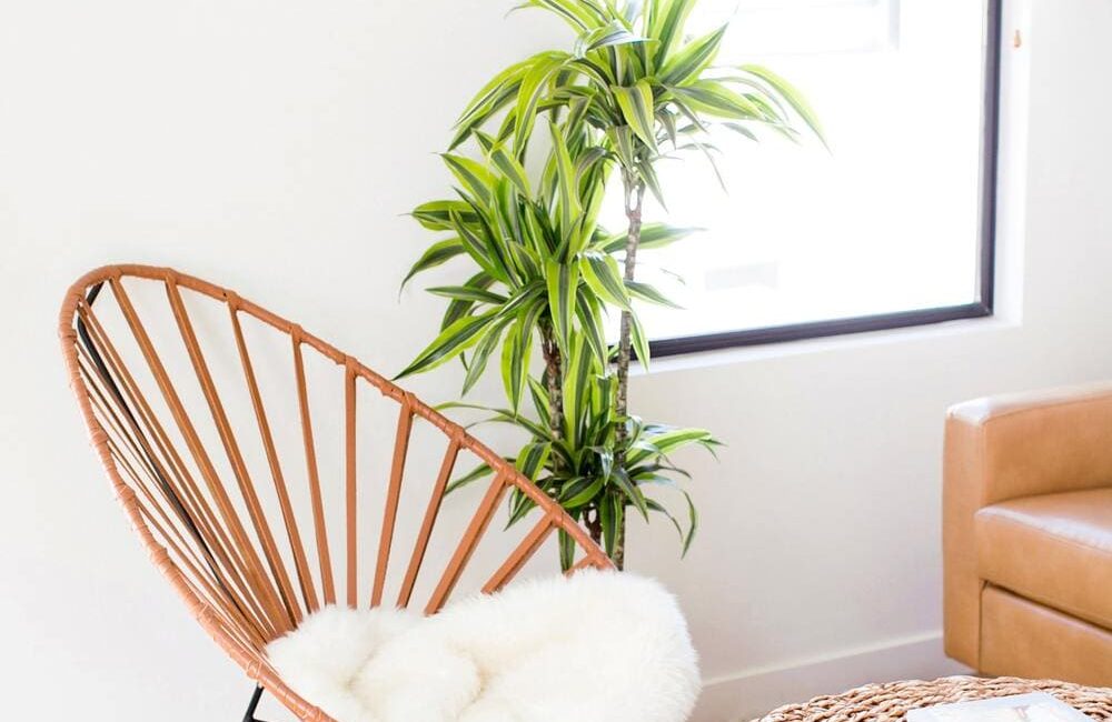 Node Living Los Angeles - Furnished Apartment 1236Q - Living Room-3